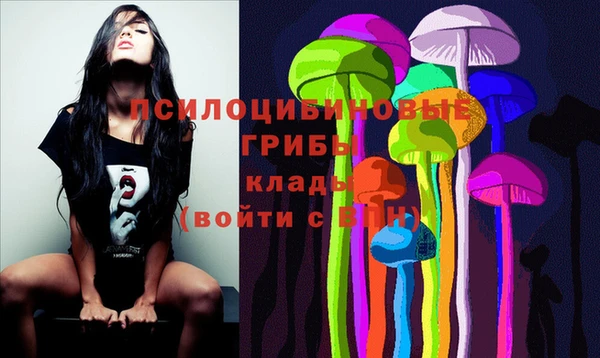 apvp Баксан
